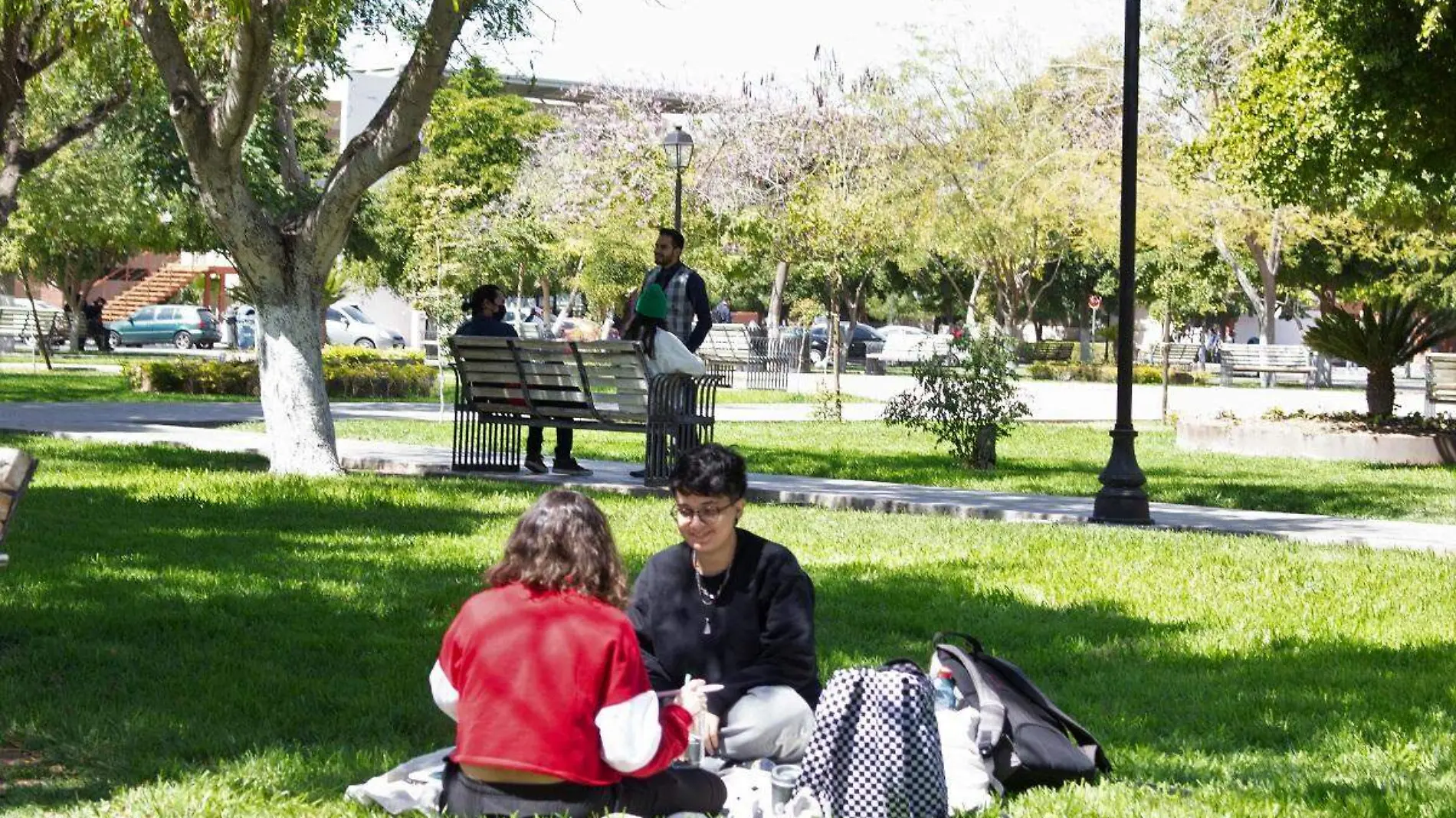 Pareja en el parque